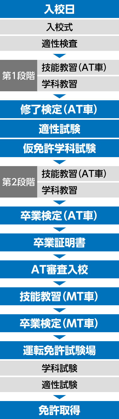 at-mt